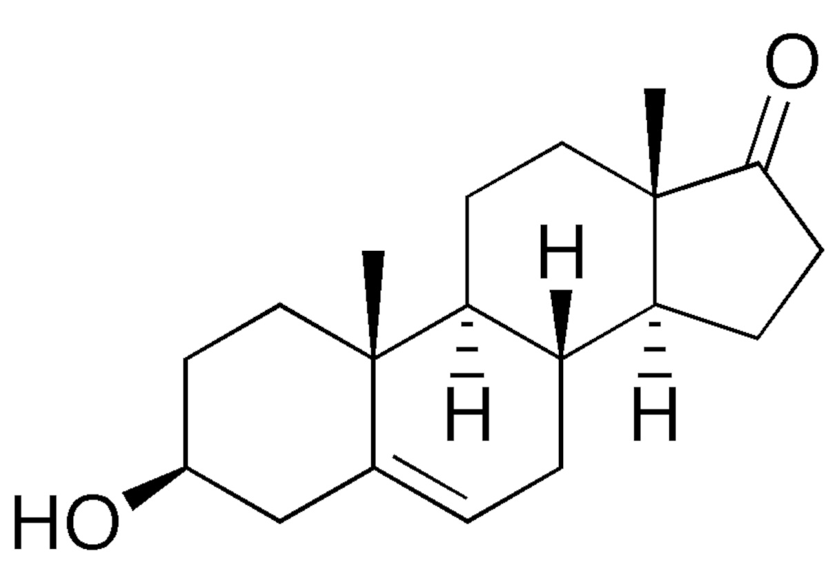 test-DHEA-torino